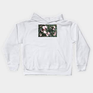 Wild pale pink carnations photography Kids Hoodie